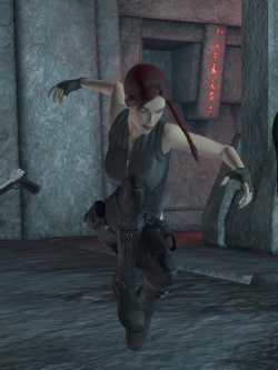 Doppelganger arcticcircle.jpg