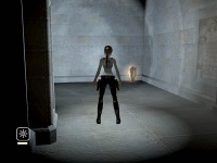 WalkthroughManorbronze06.jpg