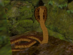 Cobra.jpg