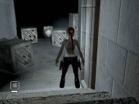 WalkthroughManorsilver03.jpg