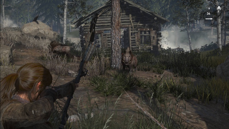 File:RotTR-Boar.jpg