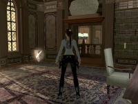 WalkthroughManorbronze04.jpg
