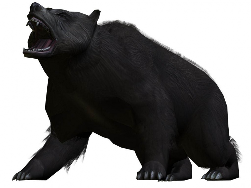 File:Bear tra.jpg